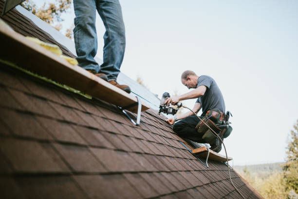 Best Roof Leak Repair  in Springfield, TN