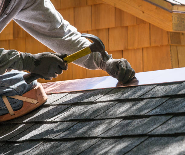 Best Roof Gutter Cleaning  in Springfield, TN